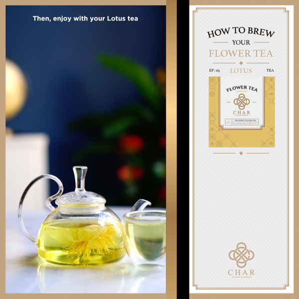 How to Brew LOTUS TEA
