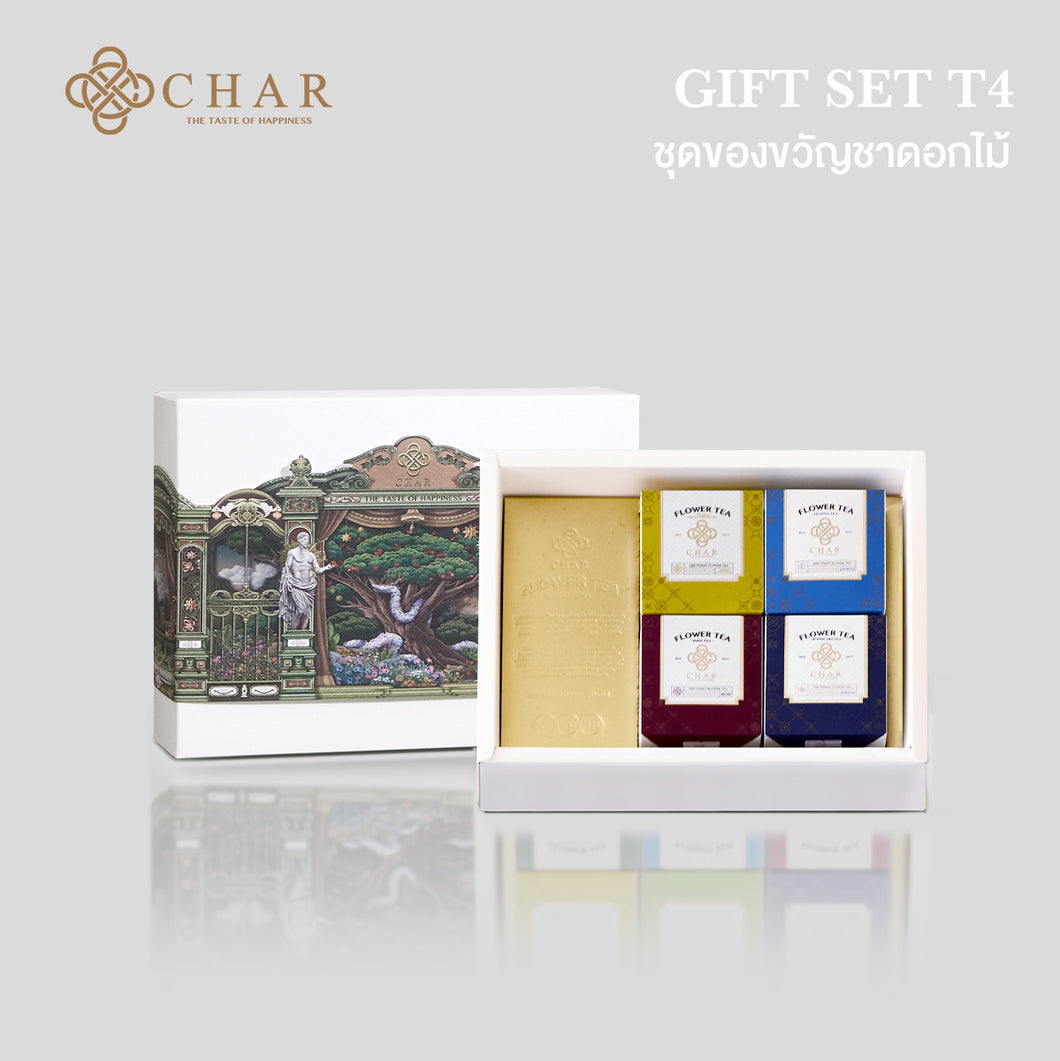 GIFT SET T4